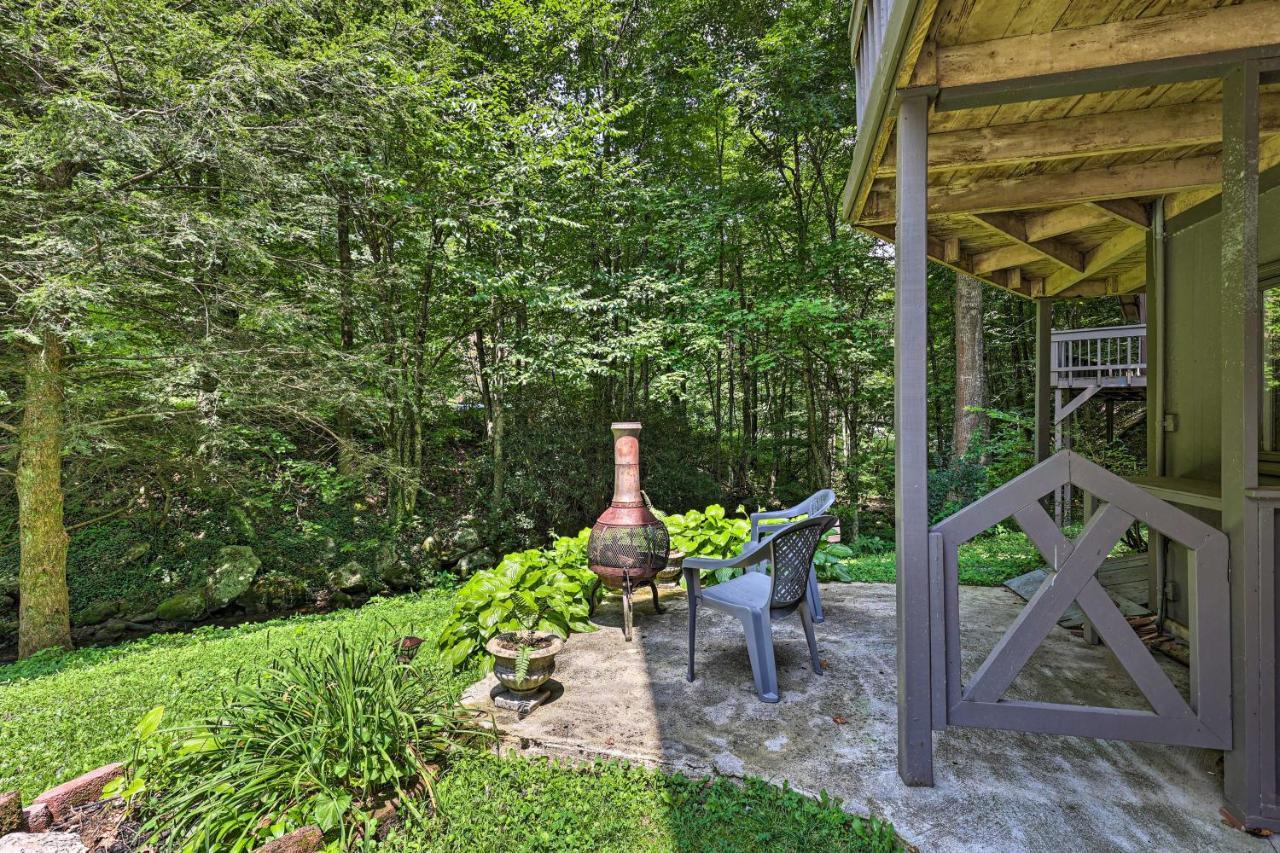 Creekside Roan Mountain Cabin Walk To Trails Dış mekan fotoğraf