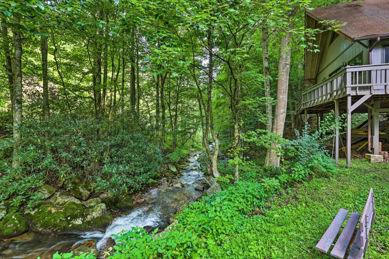 Creekside Roan Mountain Cabin Walk To Trails Dış mekan fotoğraf