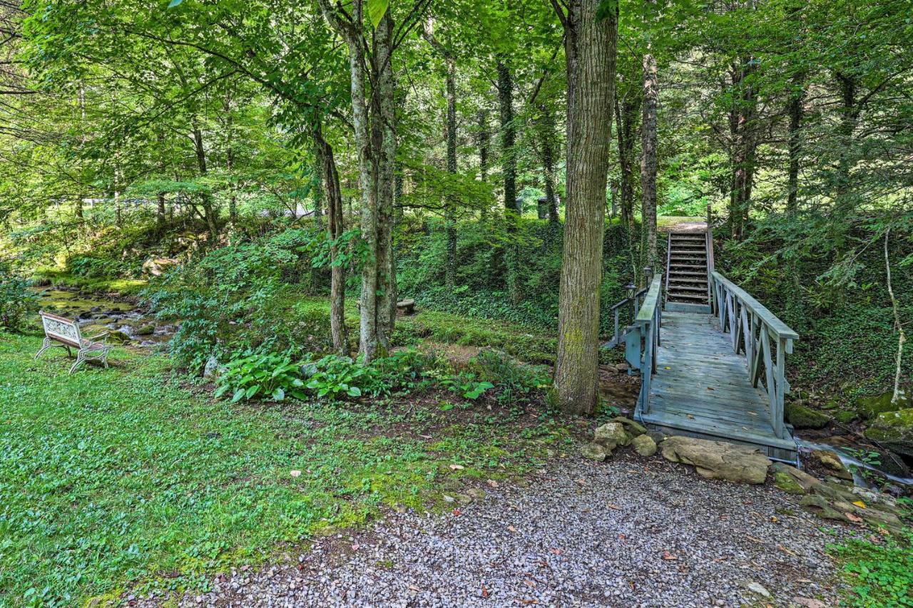 Creekside Roan Mountain Cabin Walk To Trails Dış mekan fotoğraf
