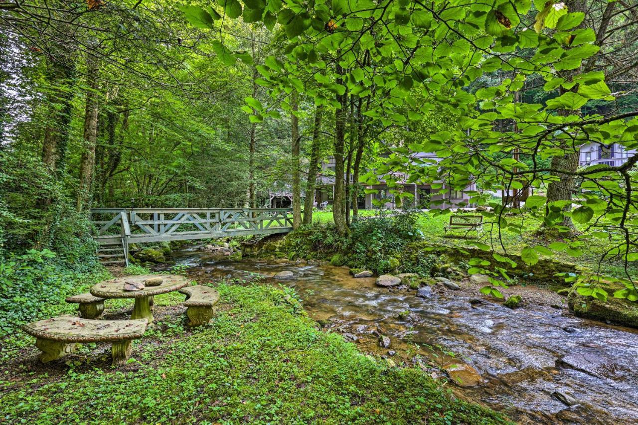 Creekside Roan Mountain Cabin Walk To Trails Dış mekan fotoğraf