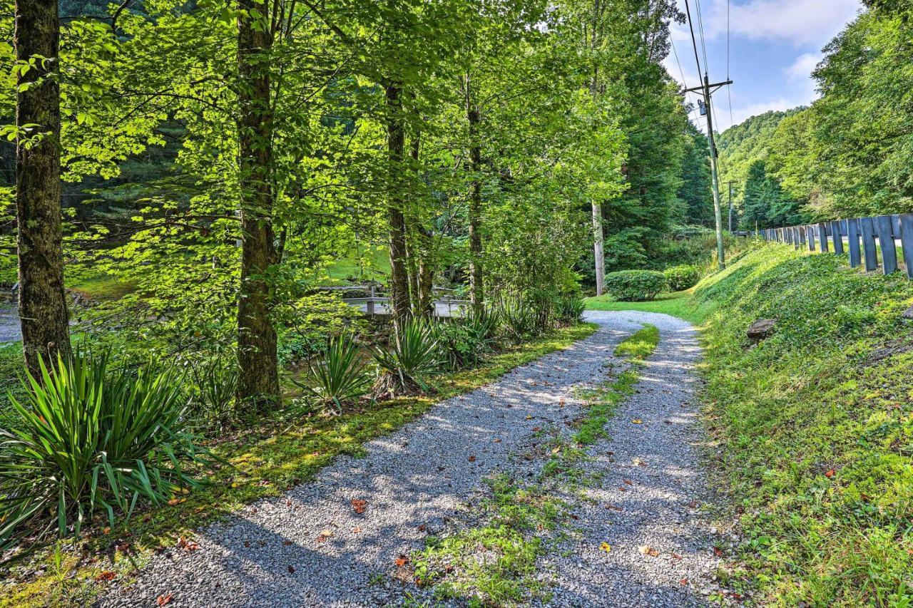 Creekside Roan Mountain Cabin Walk To Trails Dış mekan fotoğraf