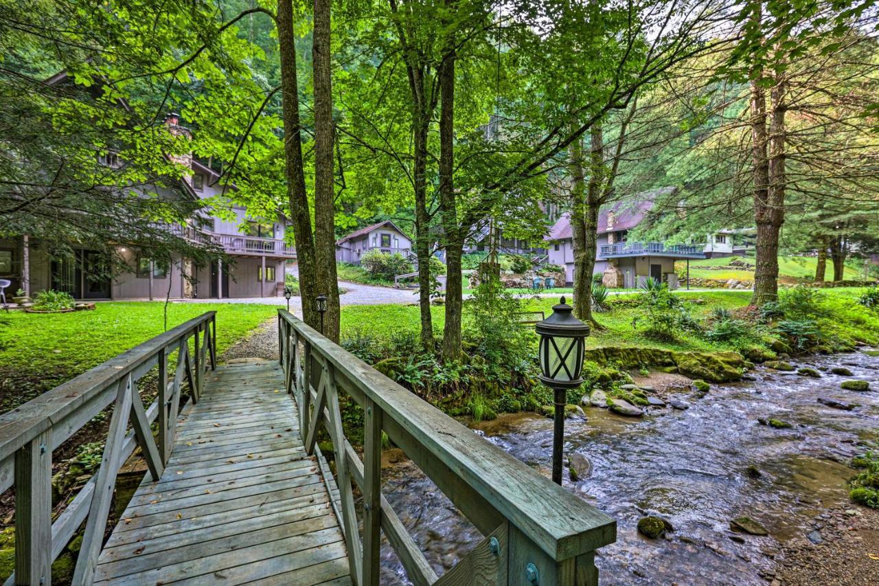Creekside Roan Mountain Cabin Walk To Trails Dış mekan fotoğraf