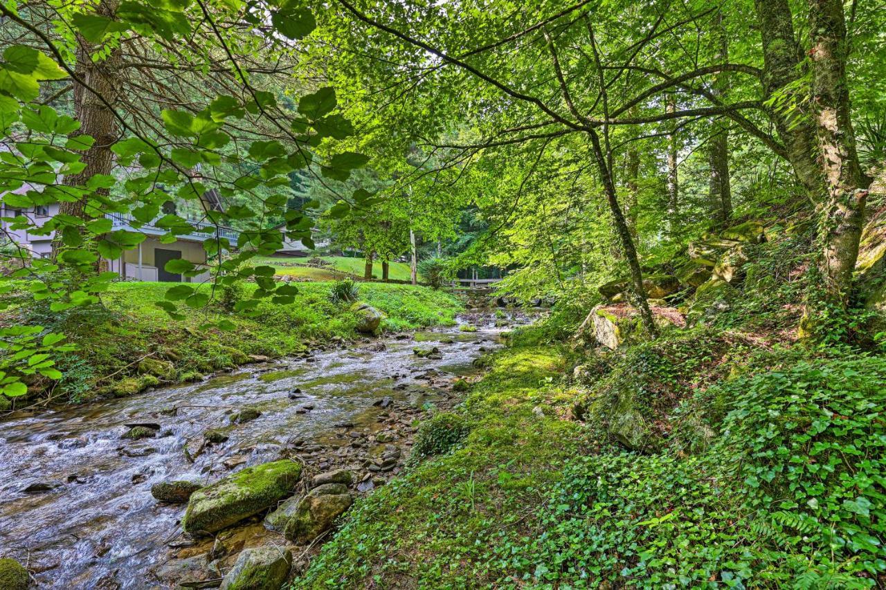 Creekside Roan Mountain Cabin Walk To Trails Dış mekan fotoğraf